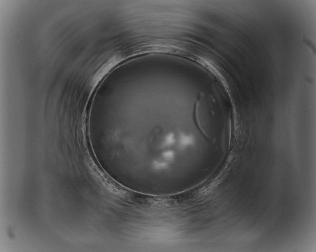 X0000100950899200806241500