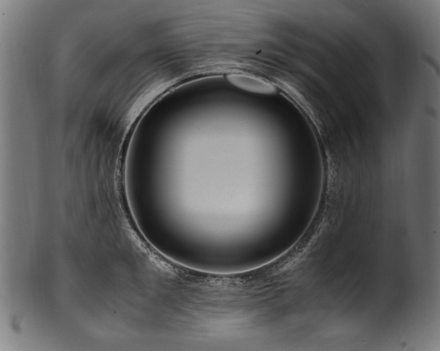 X0000100950901200806241500