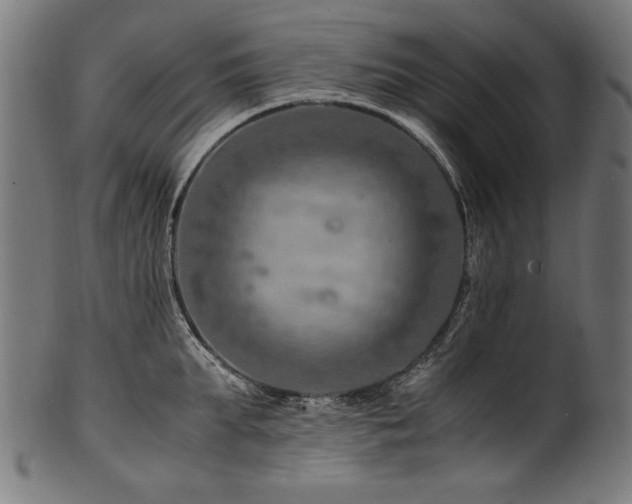 X0000100950903200806241500