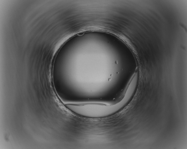 X0000100950904200806241500