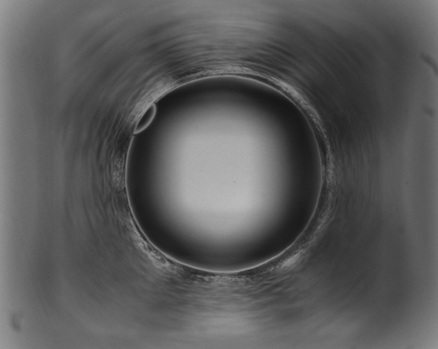 X0000100950905200806241500