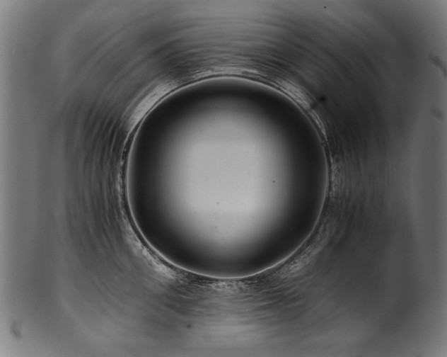X0000100950906200806241500