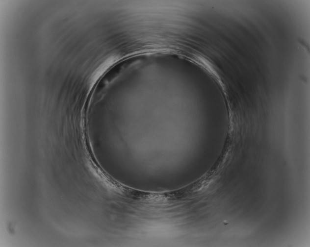 X0000100950907200806241500