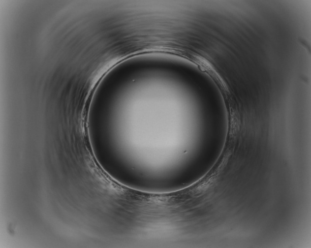 X0000100950908200806241500