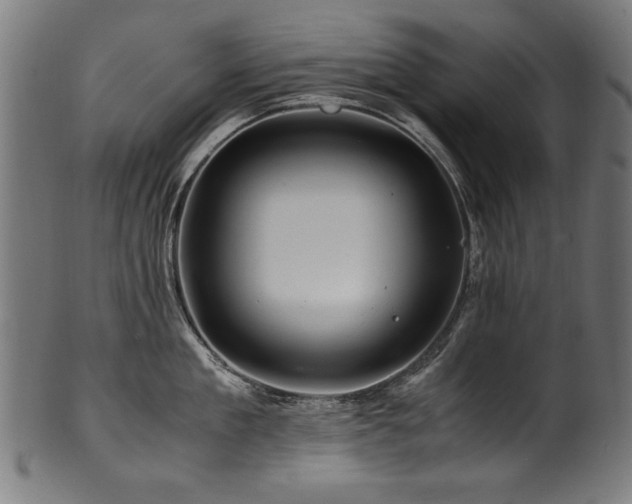 X0000100950909200806241500