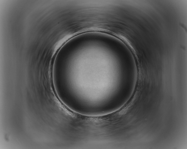 X0000100950910200806241500