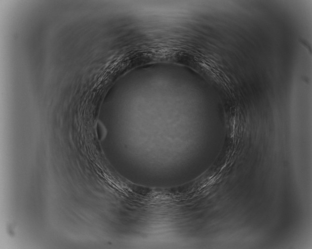 X0000100950913200806241459