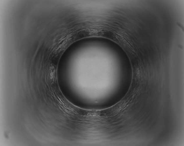 X0000100950914200806241459