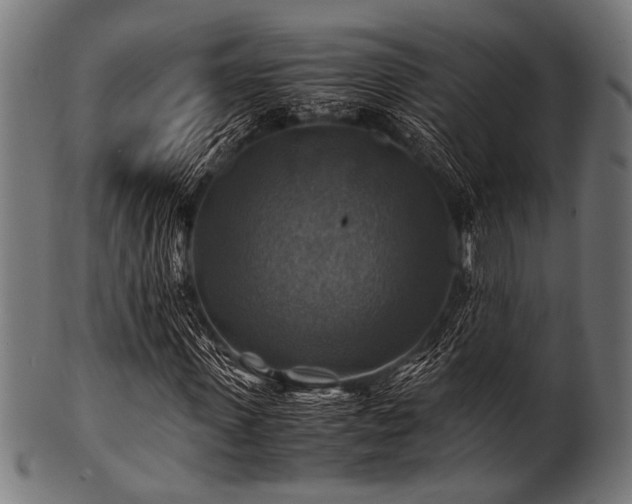 X0000100950915200806241459