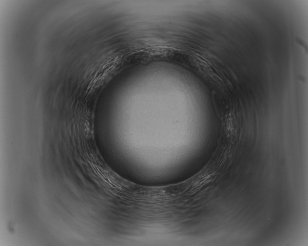 X0000100950916200806241459
