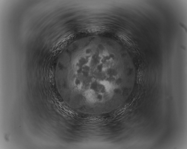 X0000100950917200806241459