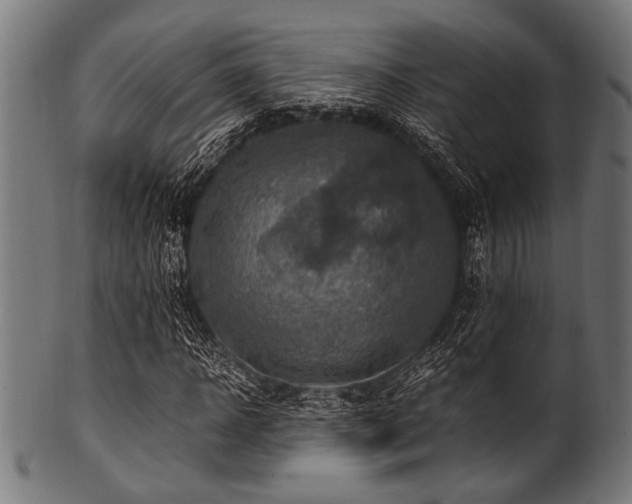 X0000100950918200806241459