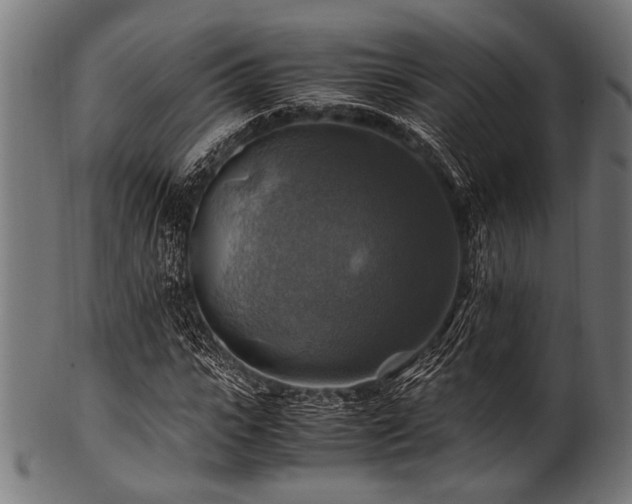 X0000100950919200806241459