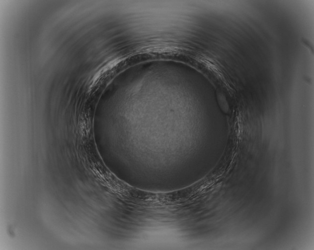 X0000100950920200806241459
