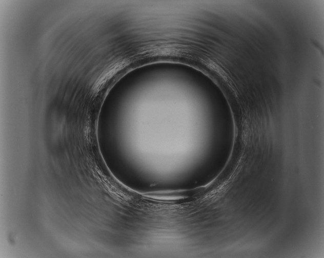 X0000100950922200806241459
