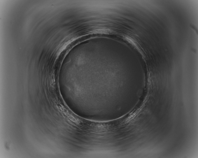 X0000100950923200806241459