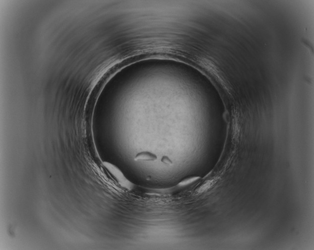 X0000100950924200806241500