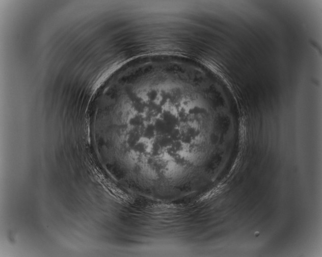 X0000100950925200806241500