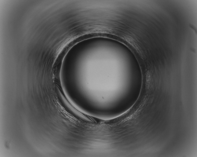X0000100950926200806241500