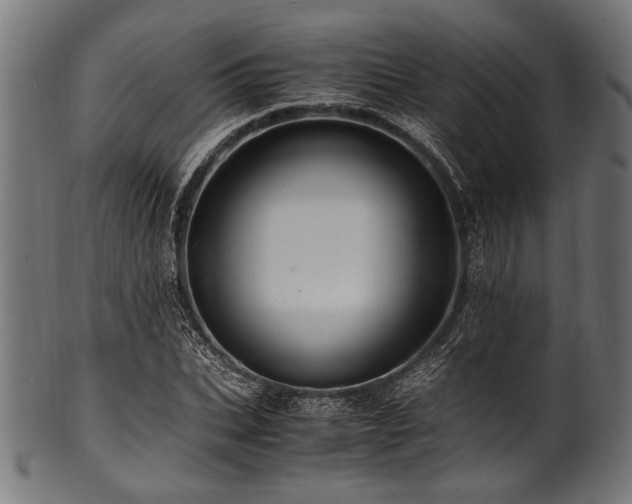 X0000100950927200806241500