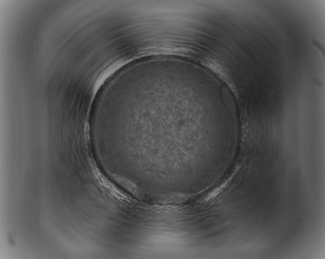 X0000100950928200806241500