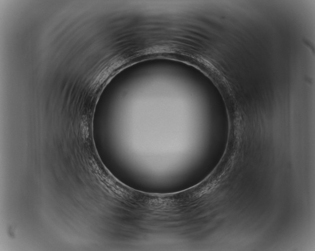 X0000100950929200806241500