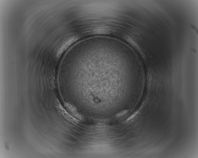 X0000100950930200806241500