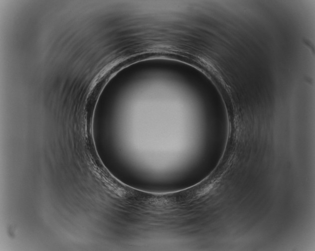 X0000100950931200806241500