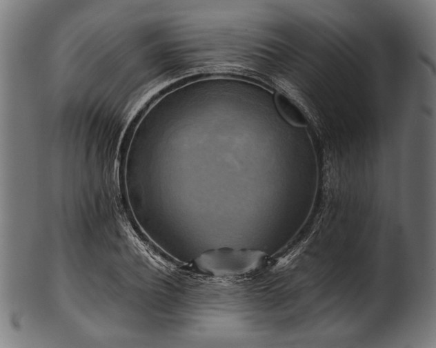 X0000100950932200806241500