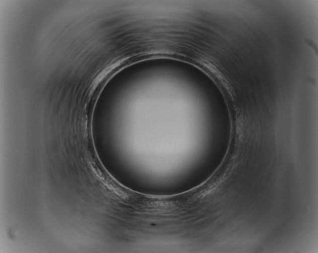 X0000100950933200806241500