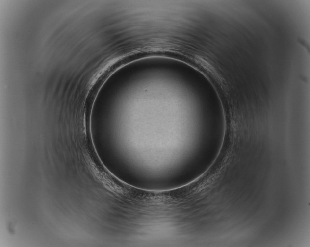X0000100950934200806241500