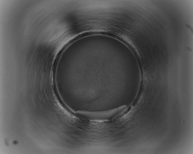 X0000100950935200806241500