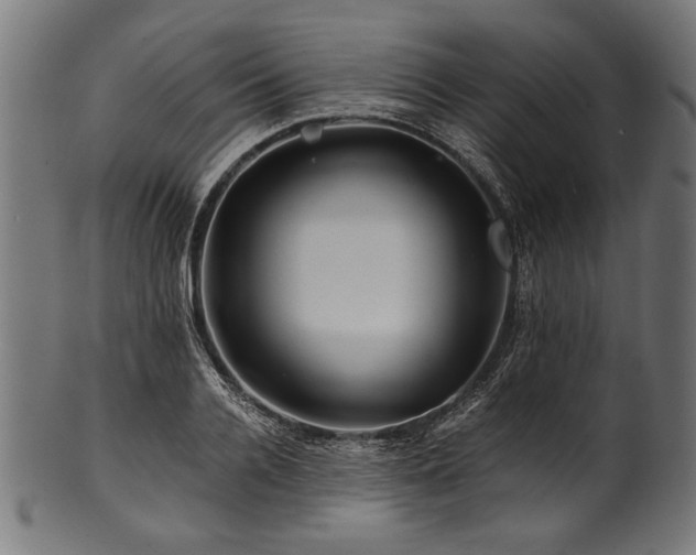 X0000100950936200806241500
