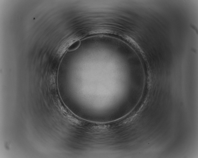 X0000100950937200806241500