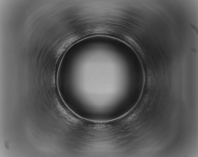 X0000100950938200806241500