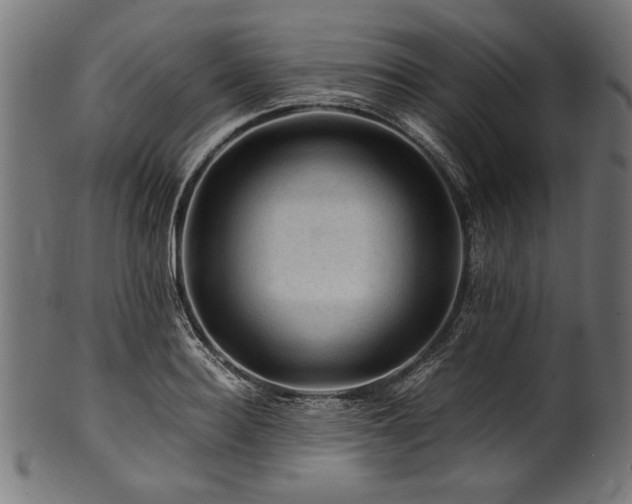 X0000100950940200806241500