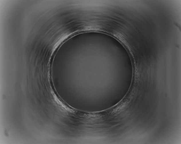 X0000100950941200806241500