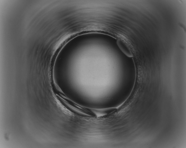 X0000100950942200806241500