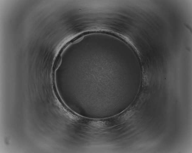 X0000100950943200806241500
