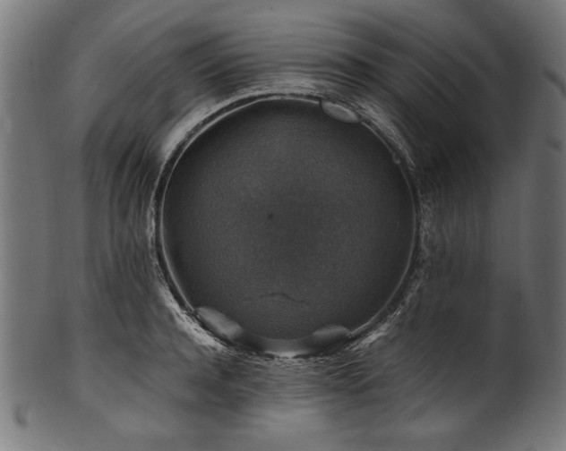 X0000100950944200806241500