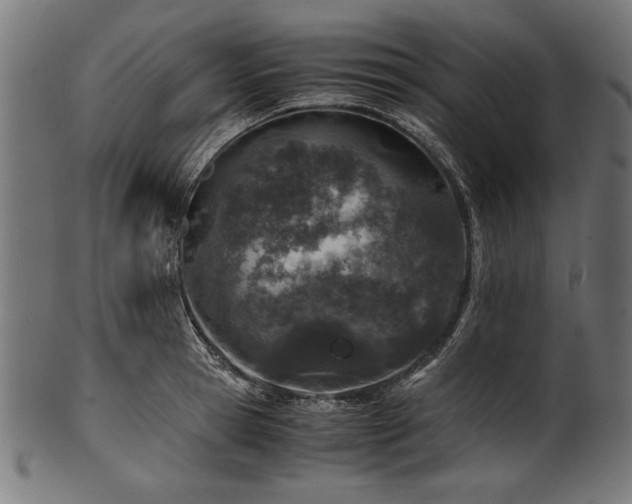 X0000100950945200806241500