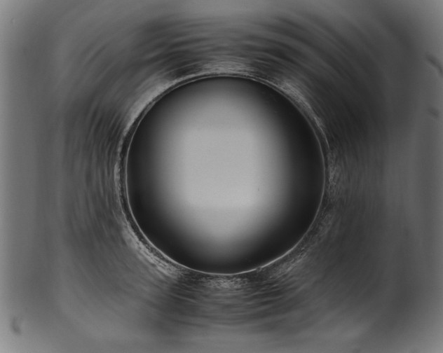 X0000100950947200806241500