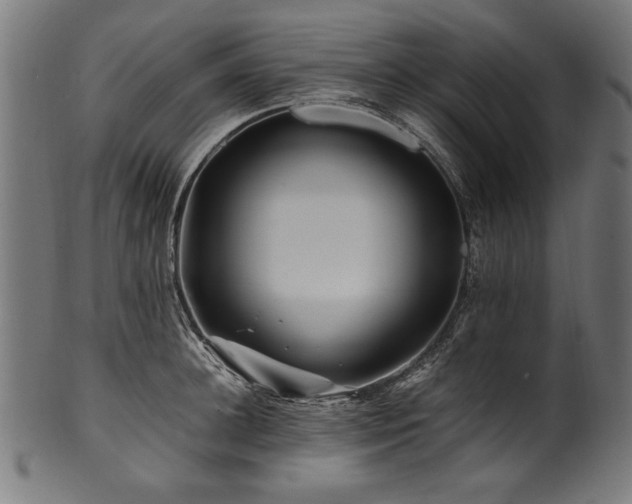 X0000100950948200806241500