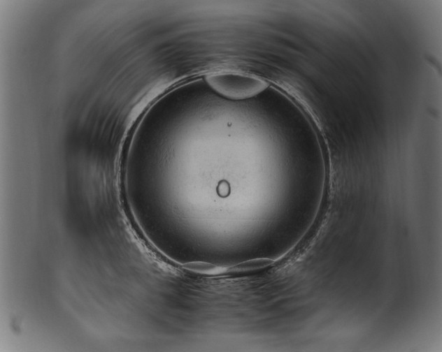 X0000100950949200806241500