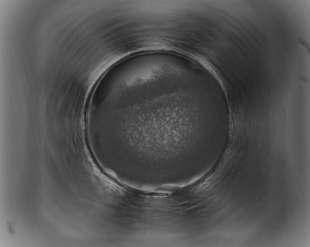 X0000100950951200806241500