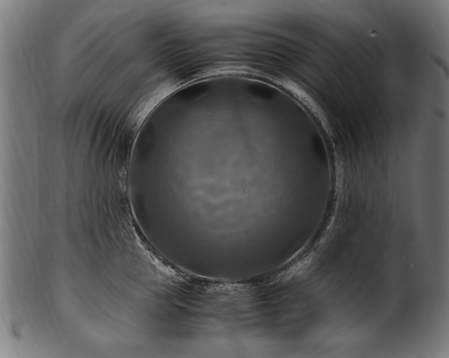 X0000100950953200806241500