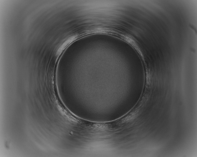 X0000100950954200806241500