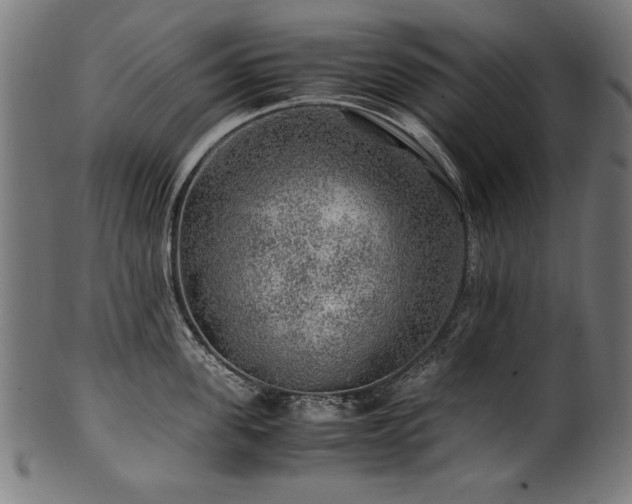 X0000100950955200806241500