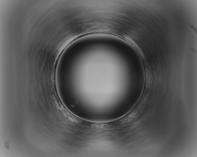 X0000100950956200806241500