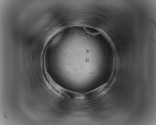 X0000100950957200806241500
